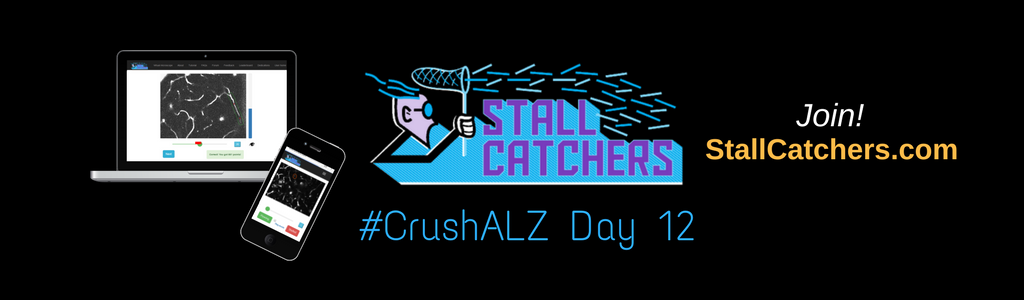 #CrushALZ Daily: Day 12 is through, and middle schoolers are back to #CrushALZ!