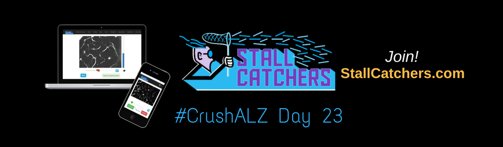 #CrushALZ Daily: Lazy catchers' Saturday still breaks through 30% goal on Day 23!