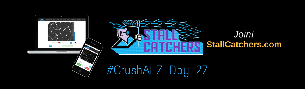 #CrushALZ Daily: Day 27 & shoutout to the catchers behind teams!