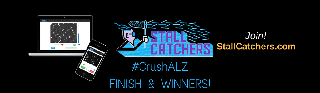 #CrushALZ is COMPLETE: final scores & winning teams!