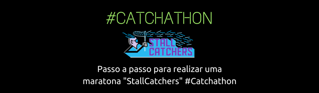 Passo a passo para realizar uma maratona "StallCatchers" #Catchathon (materials in Portugese)