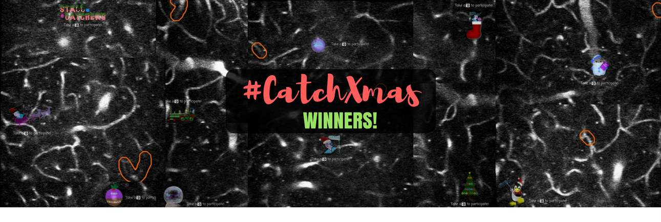Who managed to #CatchXmas? Winners announced!