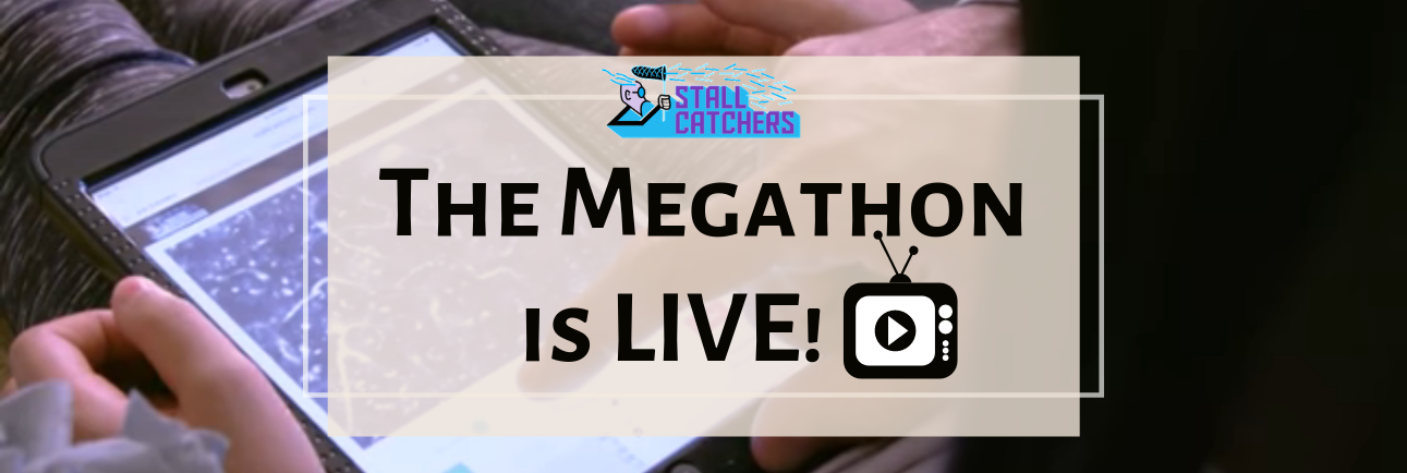 The Megathon is LIVE! 🏁