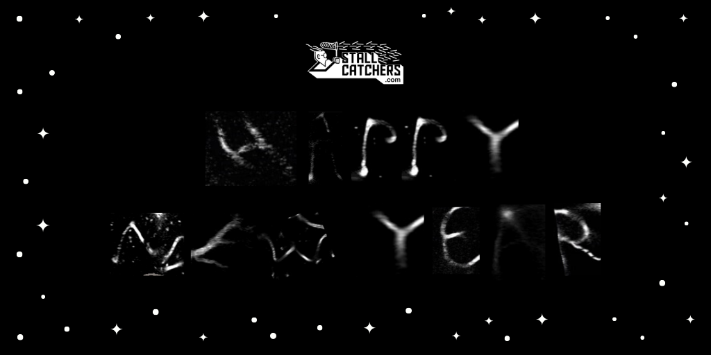 Happy New Year, Catchers! 🎉