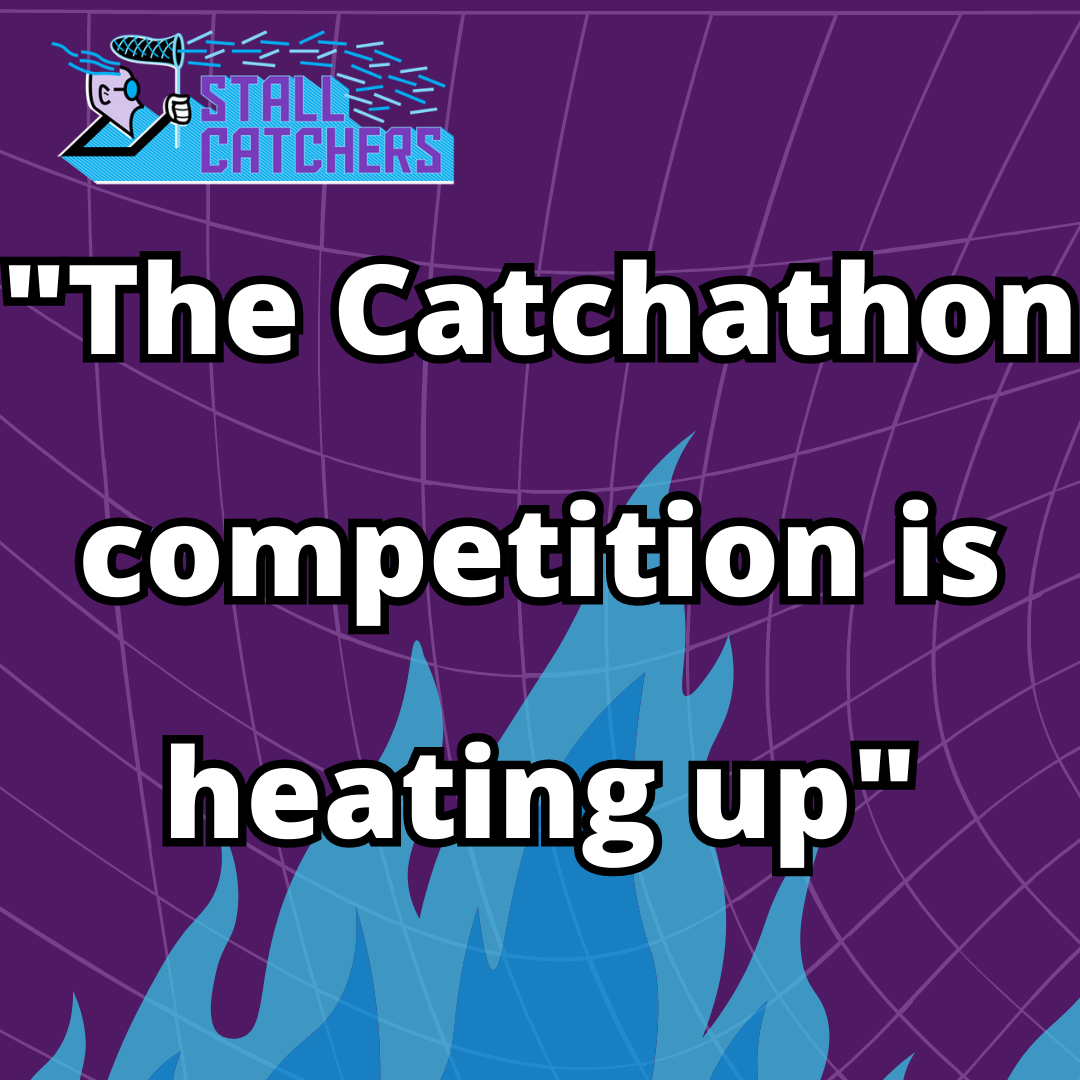 The competition is heating up in the last full day of the Catchathon