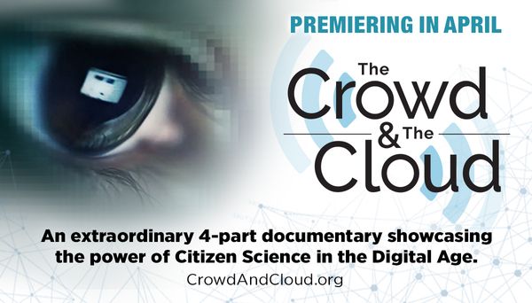 Here's all you need to know about The Crowd & The Cloud