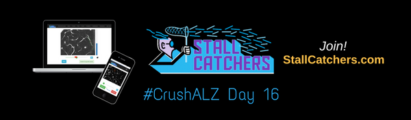 #CrushALZ Daily: Leaders change completely on Day 16!