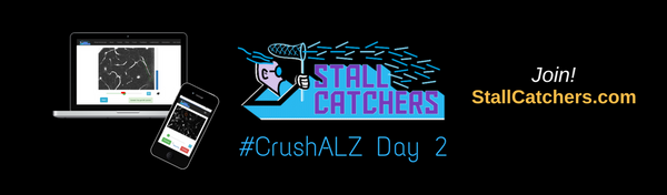 #CrushALZ Daily: Changing leaderboards on Day 2!