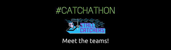 Meet the #Catchathon teams!