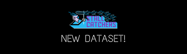 New dataset in Stall Catchers - high fat diet
