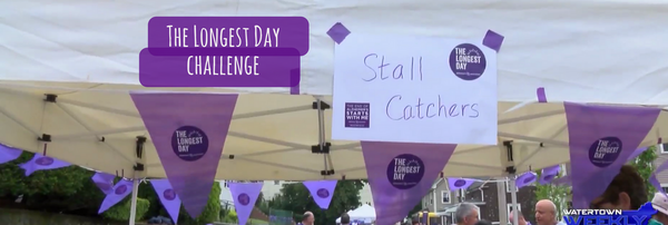 Play Stall Catchers on #TheLongestDay!