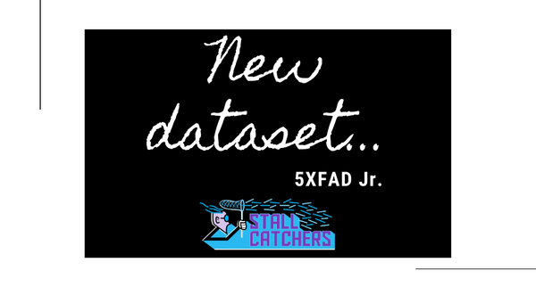 New dataset: 5XFAD Jr.