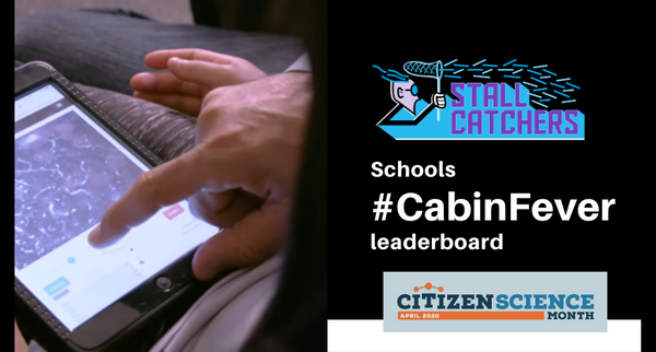 Schools of the #CabinFever challenge!
