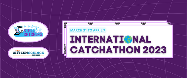 Check the agenda for our 2023 International #catchathon !🤩