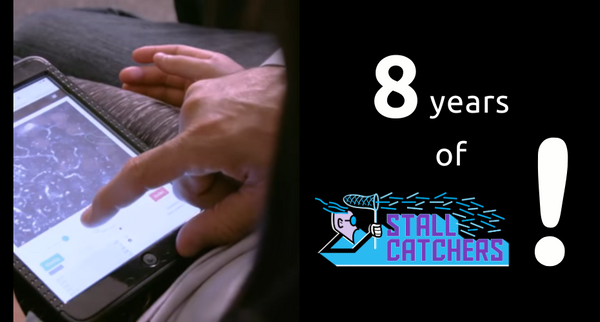 Stall Catchers is celebrating its 8 year anniversary!