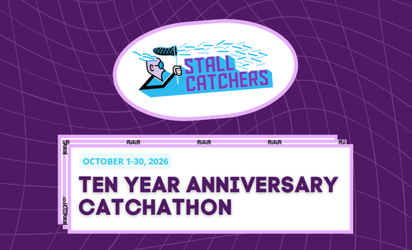 Stall Catchers Turns 10: Global Catchathon 🎉